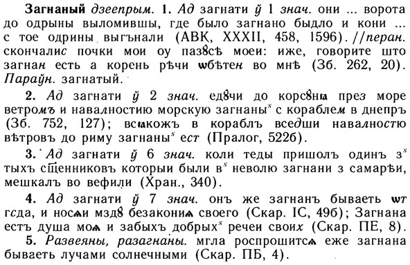 img/10/10-161_0874_Загнаный.jpg