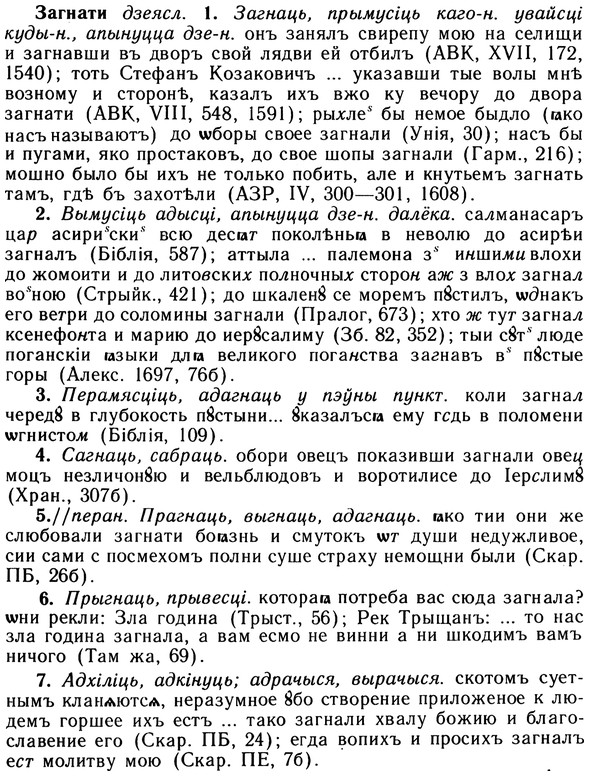 img/10/10-162_0876_Загнати.jpg