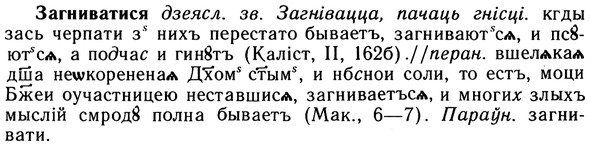 img/10/10-163_0885_Загниватися.jpg