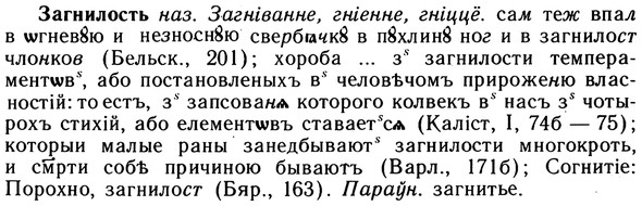 img/10/10-163_0886_Загнилость.jpg