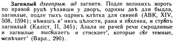 img/10/10-163_0887_Загнилый.jpg