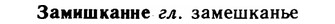 img/11/11-015_0078_Замишканне.jpg