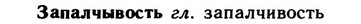 img/11/11-061_0318_Запалчывость.jpg