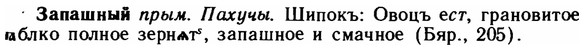 img/11/11-068_0355_Запашный.jpg