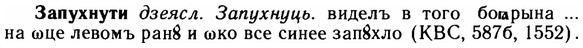 img/11/11-117_0680_Запухнути.jpg