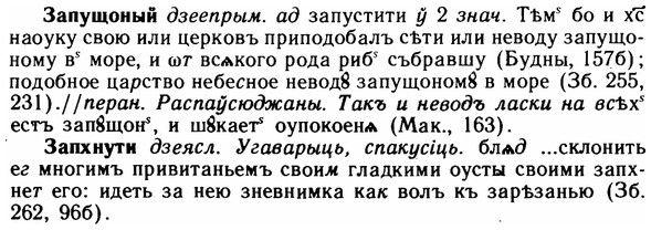 img/11/11-117_0683_Запущоный.jpg