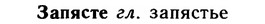 img/11/11-119_0689_Запясте.jpg