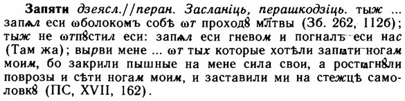 img/11/11-119_0693_Запяти.jpg