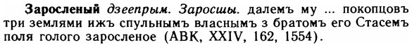img/11/11-131_0766_Заросленый.jpg