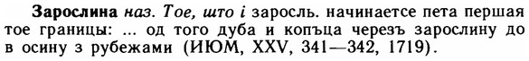 img/11/11-131_0767_Зарослина.jpg