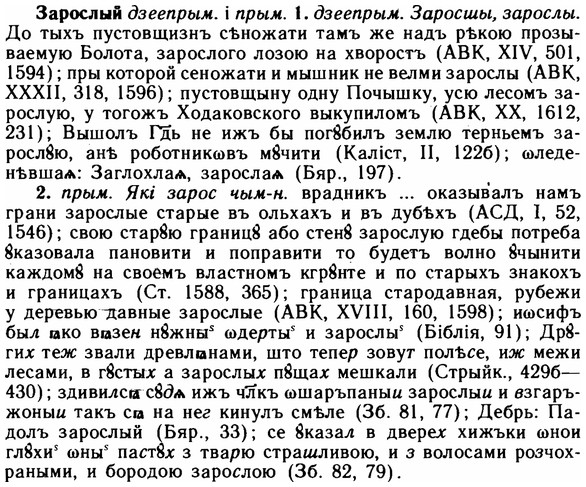 img/11/11-131_0768_Зарослый.jpg