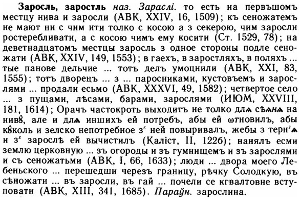 img/11/11-131_0769_Заросль.jpg