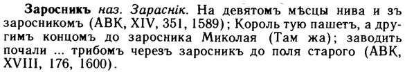 img/11/11-132_0770_Заросникъ.jpg