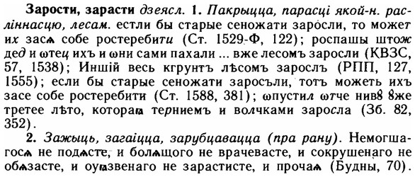 img/11/11-132_0772_Зарости.jpg