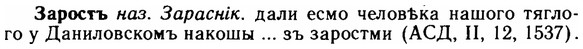 img/11/11-132_0775_Заростъ.jpg