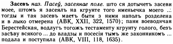 img/11/11-142_0839_Засевъ.jpg