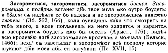 img/11/11-168_0968_Засорометися.jpg