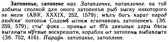 img/11/11-216_1233_Затопенье.jpg