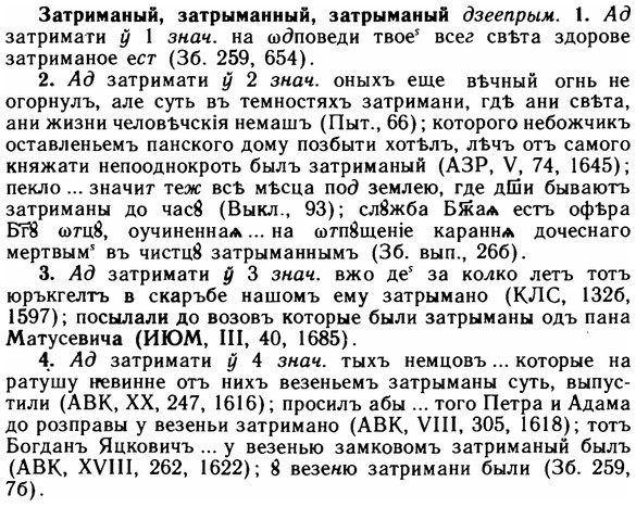 img/11/11-222_1285_Затриманый.jpg