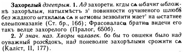 img/11/11-261_1436_Захорелый.jpg