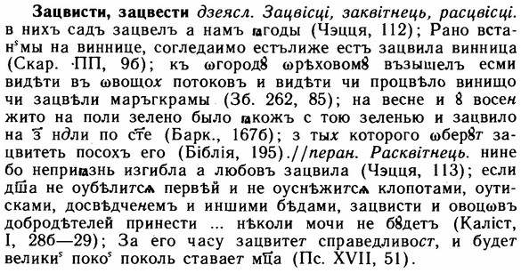 img/11/11-262_1446_Зацвисти.jpg