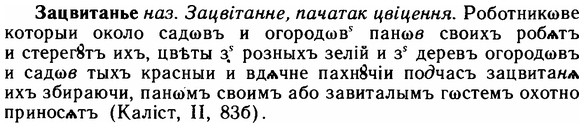 img/11/11-263_1447_Зацвитанье.jpg