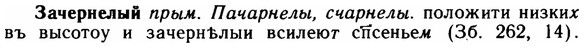 img/11/11-271_1474_Зачернелый.jpg