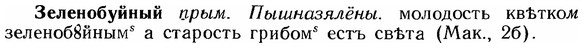 img/12/12-204_1175_Зеленобуйный.jpg