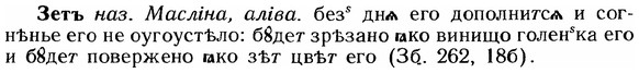 img/12/12-231_1293_Зетъ.jpg