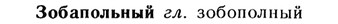 img/13/13-124_0575_Зобапольный.jpg