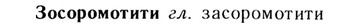 img/13/13-150_0732_Зосоромотити.jpg
