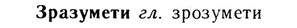 img/13/13-181_0909_Зразумети.jpg