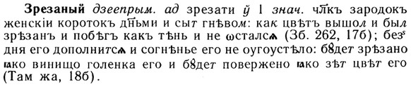 img/13/13-185_0932_Зрезаный.jpg