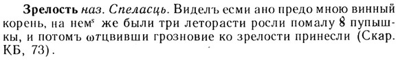 img/13/13-186_0942_Зрелость.jpg