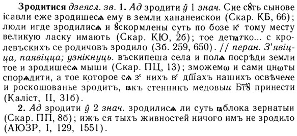 img/13/13-193_0982_Зродитися.jpg