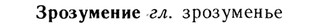 img/13/13-195_0993_Зрозумение.jpg