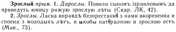 img/13/13-197_1001_Зрослый.jpg