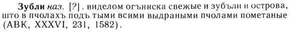 img/13/13-219_1179_Зубли.jpg