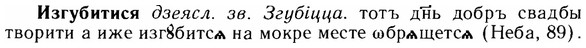 img/14/14-048_0269_Изгубитися.jpg