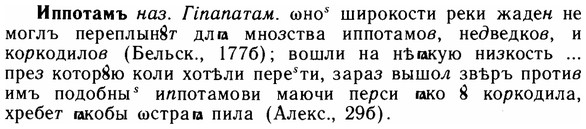 img/14/14-147_0968_Иппотамъ.jpg