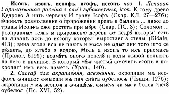 img/14/14-161_1071_Исопъ.jpg