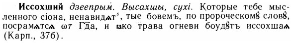 img/14/14-181_1196_Иссохший.jpg