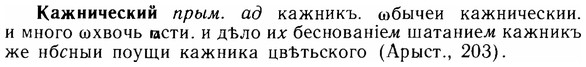 img/14/14-221_1463_Кажнический.jpg
