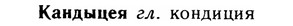 img/14/14-256_1657_Кандыцея.jpg
