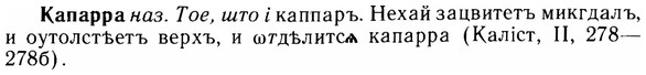 img/14/14-265_1732_Капарра.jpg