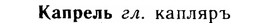 img/14/14-272_1776_Капрель.jpg