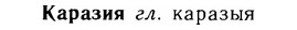 img/14/14-277_1815_Каразия.jpg