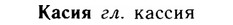 img/14/14-294_1924_Касия.jpg