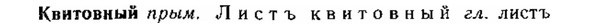 img/15/15-026_0153_Квитовный.jpg