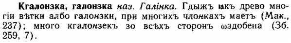 img/15/15-029_0181_Кгалонзка.jpg